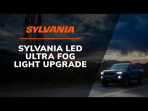 SYLVANIA LED Ultra Fog & Powersport Bulbs | Upgrade Your Nighttime Drive