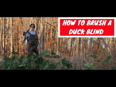 Brushing a duck blind | Red River | VLOG #26