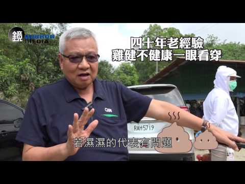 【鏡影音】為了雞 超秦董事長卓元裕再做十年