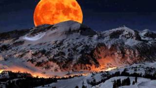 Shed Seven - Dolphin