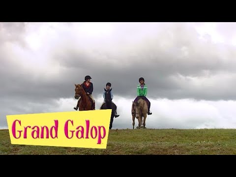 Grand Galop 210 - Libre comme l'air (Partie 1) | HD | Épisode Complet
