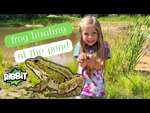 Frog Hunting at the Pond