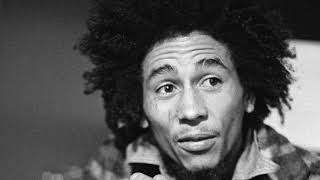 Bob Marley &amp; the Wailers Hallelujah Time Instrumental