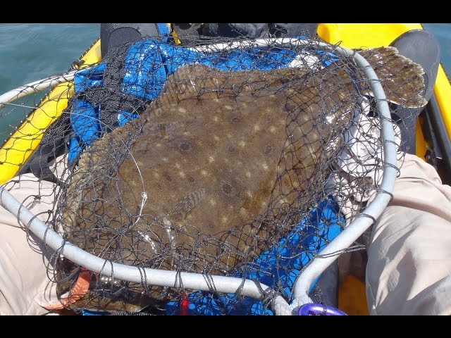 Kayak Fishing for Flounder