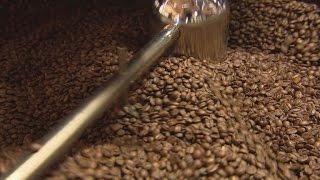 Why Coffee Beans That Are Decades Old Could Be Used In Your Brew