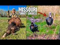 Rylan White Tags A Nice Ozark Mountain Turkey Missouri Turkey Season 2023