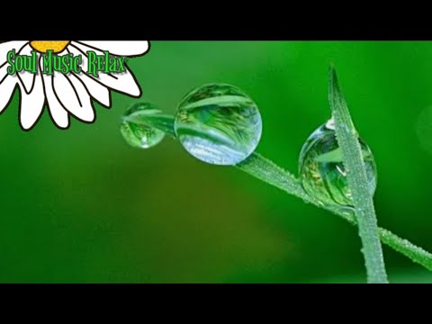 Soul Music Relax reiki