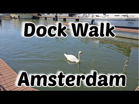 Trip # 289 Dock Walk at Sixhaven in Amsterdam, Netherlands | What Yacht To Do