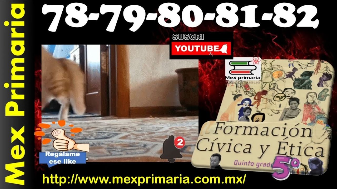 Civica 5 pag, 78, 79, 80, 81, 82, Derecho, Igualdad, hombres, mujeres, cultura, de, paz,