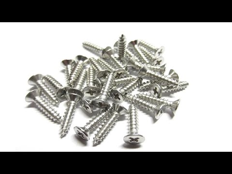 SS Furniture Screw