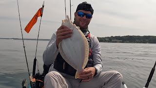 Getting The Largest Fish Of The Day At Plan B