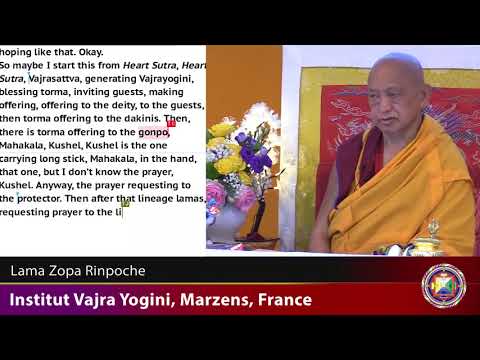 20190522 1930 LZR IVY FRANCE - Defective view and about the mindfulness of emptiness as the practice