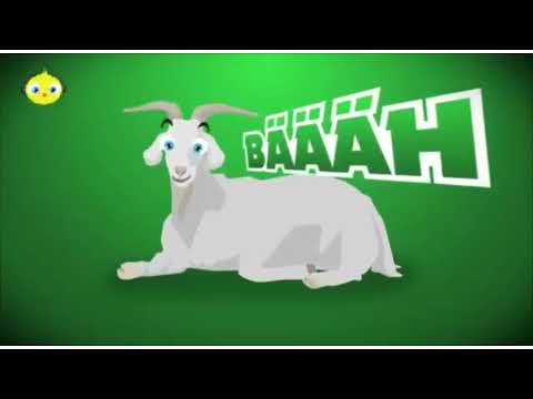 Das Kleine Kuken Piept But with better ending and new animals