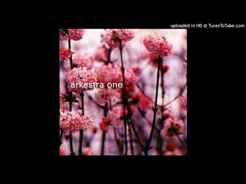 Arkestra One - I Really Want You