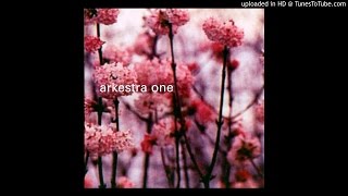 Arkestra One - I Really Want You
