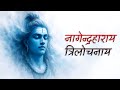 Nagendra Haraya Trilochanaya Powerful Shiva Mantra For Inner Peace Meditation