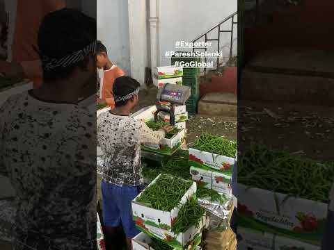 , title : 'Live Green chilli packing for Export, Fresh fruit and vegetable Export #PareshSolanki #GoGlobal'