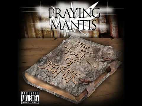 Pythagoras the Praying Mantis - The Invasion