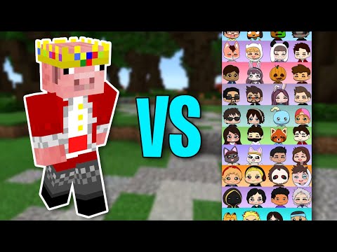 200+ YouTubers Vs Technoblade In Minecraft Hunger Games