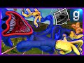 Gmod Poppy Torturing Poppy Playtime Hallucination Huggy Wuggy