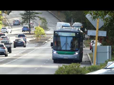 Transperth Volvo B8RLEA (Volgren Optimus) TP3074,TP3061 & TP3055 Departs Karakatta Station