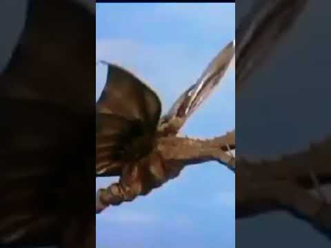 Mothra vs King Ghidorah | Rebirth of Mothra 3