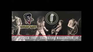 Download lagu STRAY CATS feat. ROBERT PLANT - Be Bop A Lula (20.10.88 Washington) mp3
