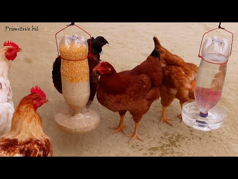 , title : 'Como hacer bebedero y comedero para gallinas con botellas de plástico'