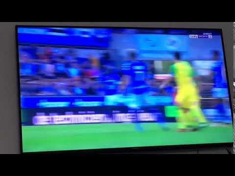 MAGNIFIQUE BUT DE DUBOIS - Strasbourg - Nantes 2017 (1-2)