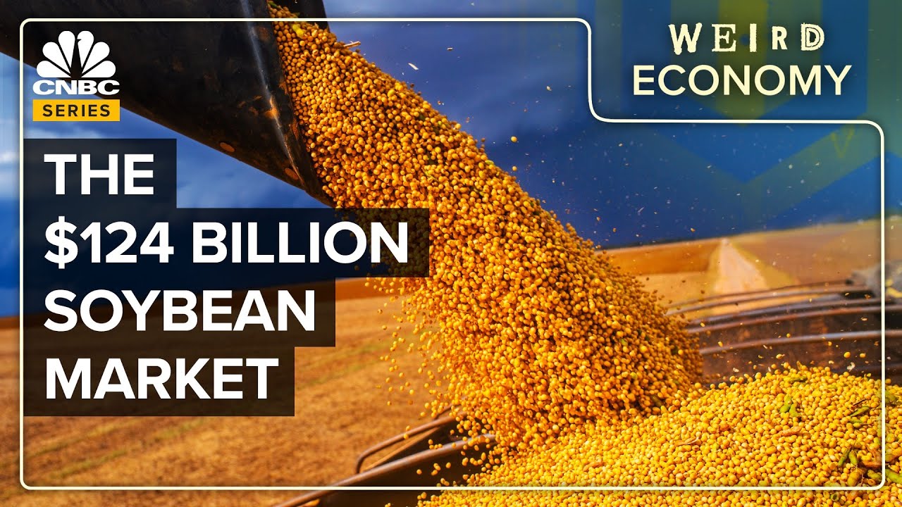 Why The U.S. Is Now Obsessed With Soybeans