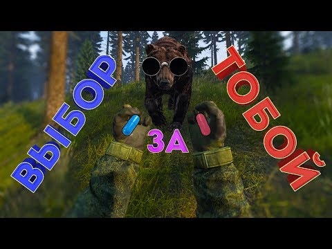 Красная или синяя таблетка ? DAYZ Livonia
