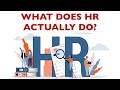 What Does HR Actually Do A Brief Summary