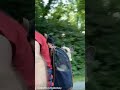 Frenchie Bike Ride