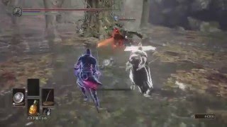 【DARK SOULS3】技量寄りのキャラの侵入 試作型