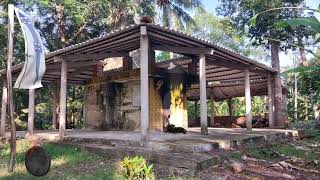 កើតចេះឈឺស្លាប់