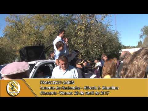 28-04-17 - Nota a Francisco Garín - Alfredo S. Mondino S.A - Olavarría