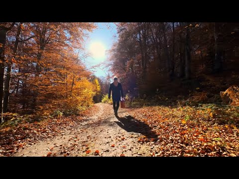 Jean Mar's Hot New Anthem video: Summer`s Gone!