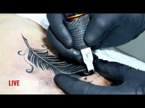 Live Tattoo - Feather