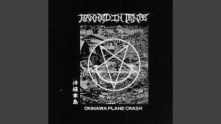 RED HOT CHILI PLANE CRASH Music Video