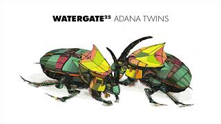 Adana Twins - Watergate 25