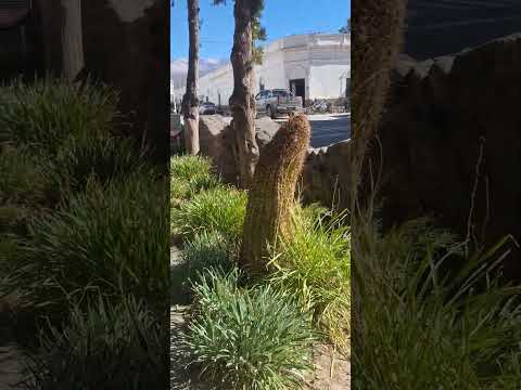 Cachi.Salta.#walkingtour #argentina #travel #salta #church