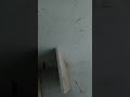 Toilet Big Cock