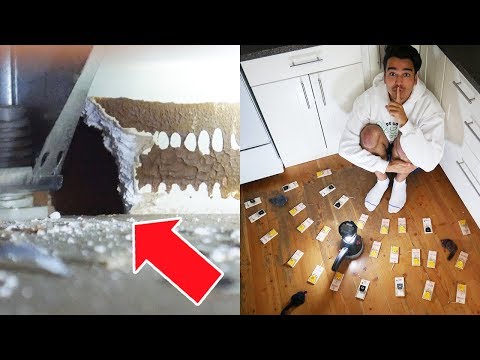 Non posso credere a quello che ho trovato... SFIDA TRAPPOLA PER TOPI DA 24 ORE E DA NOTTE!