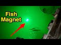 Night fishing with LED light - tips & tricks.