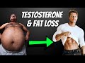 How Testosterone Affects BELLY FAT LOSS: Real Science of Low Testosterone