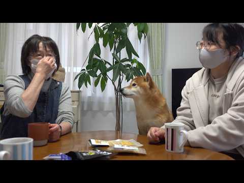 youtube-動物記事1970/01/01 09:00:00