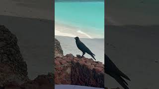 Happy National Beach Day!