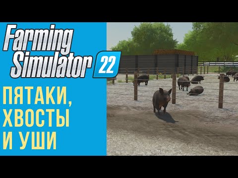 , title : '🐷 Всё о свиньях в Farming Simulator 22'