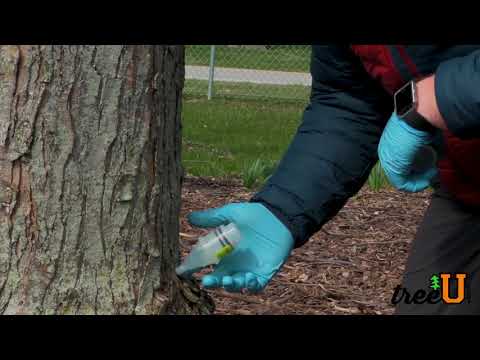 YouTube Thumbnail 9kavTD4F_S0