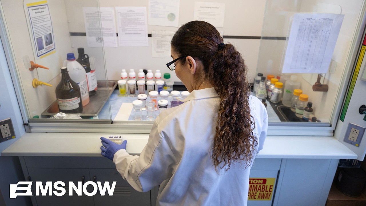 'A massive devaluation of women': NIH funding cuts target women's health research